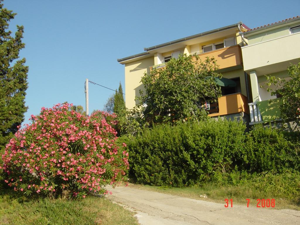 Apartments Prahovic Ждрелац Экстерьер фото